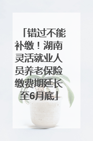 错过不能补缴！湖南灵活就业人员养老保险缴费期延长至6月底