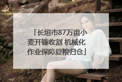 长垣市87万亩小麦开镰收割 机械化作业保障夏粮归仓
