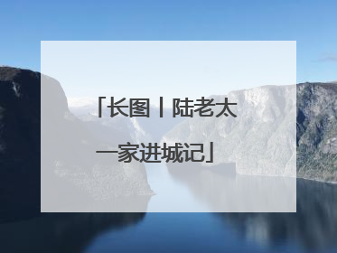 长图丨陆老太一家进城记