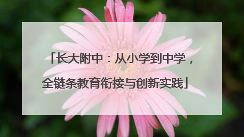 长大附中：从小学到中学，全链条教育衔接与创新实践