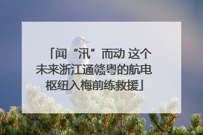 闻“汛”而动 这个未来浙江通赣粤的航电枢纽入梅前练救援