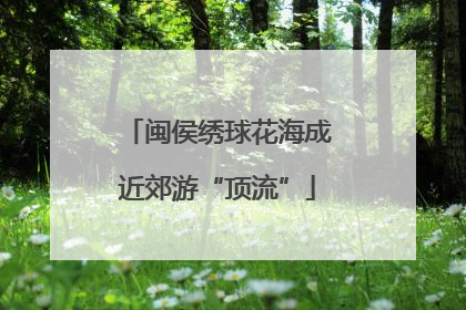 闽侯绣球花海成近郊游“顶流”