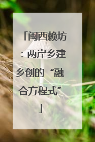 闽西赖坊：两岸乡建乡创的“融合方程式”