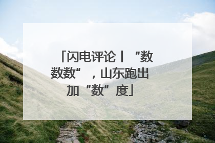 闪电评论丨“数数数”，山东跑出加“数”度