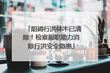 阻碍行洪林木已清除！检察履职助力消除行洪安全隐患