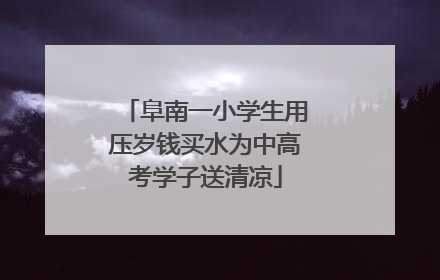阜南一小学生用压岁钱买水为中高考学子送清凉