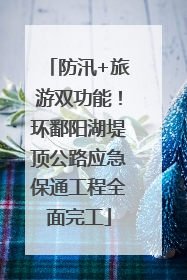 防汛+旅游双功能！环鄱阳湖堤顶公路应急保通工程全面完工