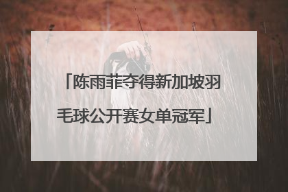陈雨菲夺得新加坡羽毛球公开赛女单冠军