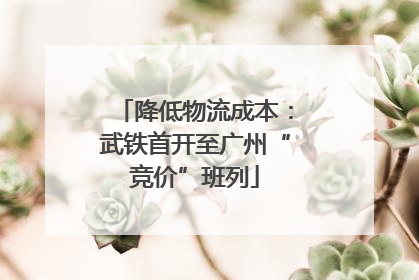 降低物流成本：武铁首开至广州“竞价”班列