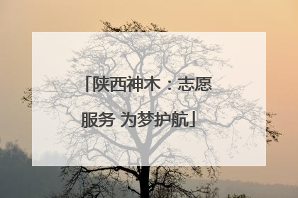 陕西神木：志愿服务 为梦护航