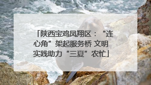 陕西宝鸡凤翔区：“连心角”架起服务桥 文明实践助力“三夏”农忙