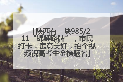 陕西有一块985/211“锦鲤路牌”，市民打卡：寓意美好，拍个视频祝高考生金榜题名