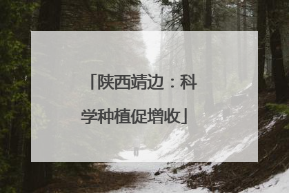 陕西靖边：科学种植促增收