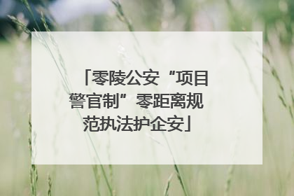 零陵公安“项目警官制”零距离规范执法护企安