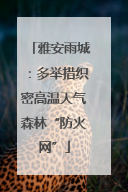 雅安雨城：多举措织密高温天气森林“防火网”