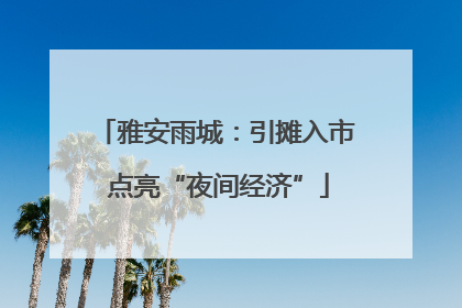 雅安雨城：引摊入市 点亮“夜间经济”