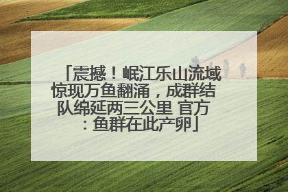 震撼！岷江乐山流域惊现万鱼翻涌，成群结队绵延两三公里 官方：鱼群在此产卵