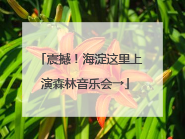 震撼！海淀这里上演森林音乐会→