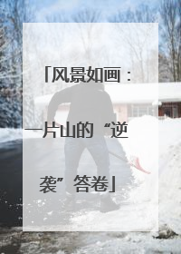 风景如画：一片山的“逆袭”答卷
