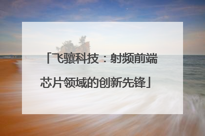 飞骧科技：射频前端芯片领域的创新先锋