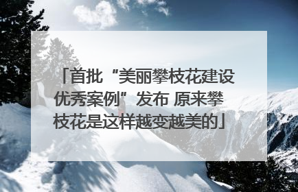 首批“美丽攀枝花建设优秀案例”发布 原来攀枝花是这样越变越美的