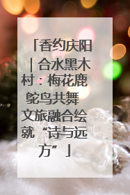 香约庆阳｜合水黑木村：梅花鹿鸵鸟共舞 文旅融合绘就“诗与远方”