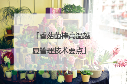 香菇菌棒高温越夏管理技术要点