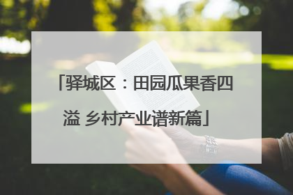 驿城区：田园瓜果香四溢 乡村产业谱新篇