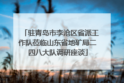 驻青岛市李沧区省派工作队莅临山东省地矿局二四八大队调研座谈