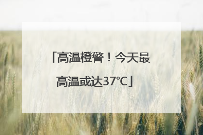 高温橙警！今天最高温或达37℃