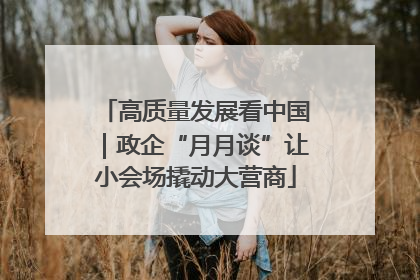 高质量发展看中国｜政企“月月谈”让小会场撬动大营商