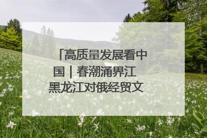 高质量发展看中国｜春潮涌界江 黑龙江对俄经贸文旅交流绿意盎然