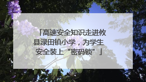 高速安全知识走进攸县渌田镇小学，为学生安全装上“密码锁”