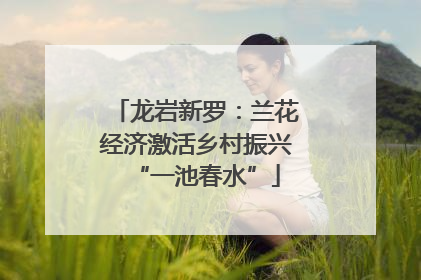 龙岩新罗：兰花经济激活乡村振兴“一池春水”