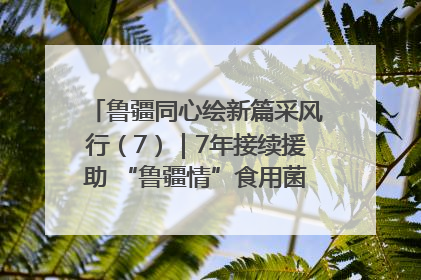 鲁疆同心绘新篇采风行（7）｜7年接续援助 “鲁疆情”食用菌从1.0走向4.0