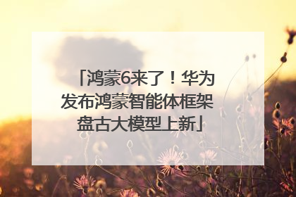 鸿蒙6来了！华为发布鸿蒙智能体框架 盘古大模型上新