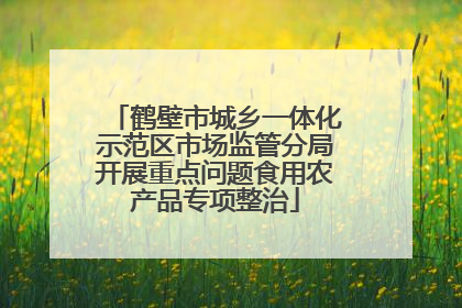 鹤壁市城乡一体化示范区市场监管分局开展重点问题食用农产品专项整治