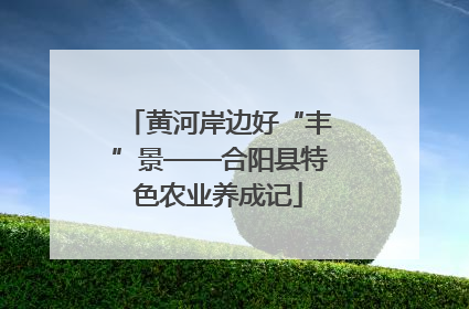 黄河岸边好“丰”景——合阳县特色农业养成记