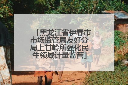 黑龙江省伊春市市场监管局友好分局上甘岭所强化民生领域计量监管