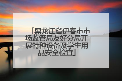 黑龙江省伊春市市场监管局友好分局开展特种设备及学生用品安全检查
