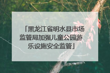 黑龙江省明水县市场监管局加强儿童公园游乐设施安全监管