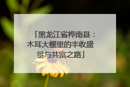 黑龙江省桦南县：木耳大棚里的丰收盛景与共富之路