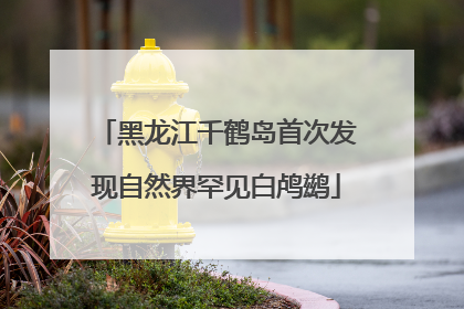 黑龙江千鹤岛首次发现自然界罕见白鸬鹚