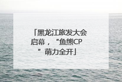 黑龙江旅发大会启幕，“鱼熊CP”萌力全开