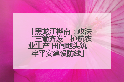黑龙江桦南：政法“三箭齐发”护航农业生产 田间地头筑牢平安建设防线