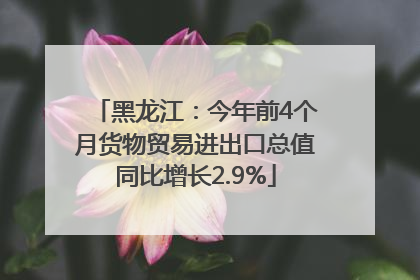 黑龙江：今年前4个月货物贸易进出口总值同比增长2.9%
