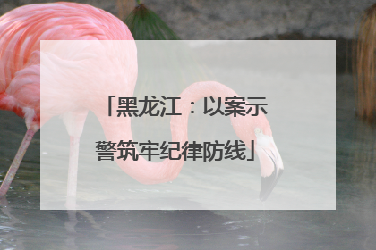 黑龙江：以案示警筑牢纪律防线