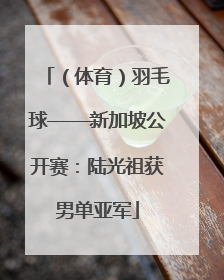 （体育）羽毛球——新加坡公开赛：陆光祖获男单亚军