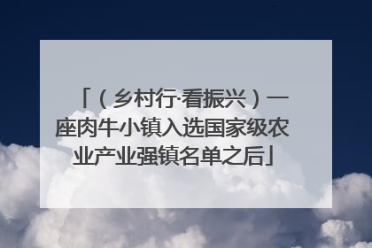 （乡村行·看振兴）一座肉牛小镇入选国家级农业产业强镇名单之后