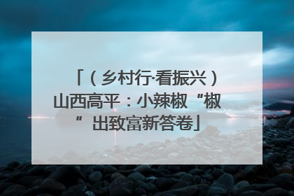 （乡村行·看振兴）山西高平：小辣椒“椒”出致富新答卷